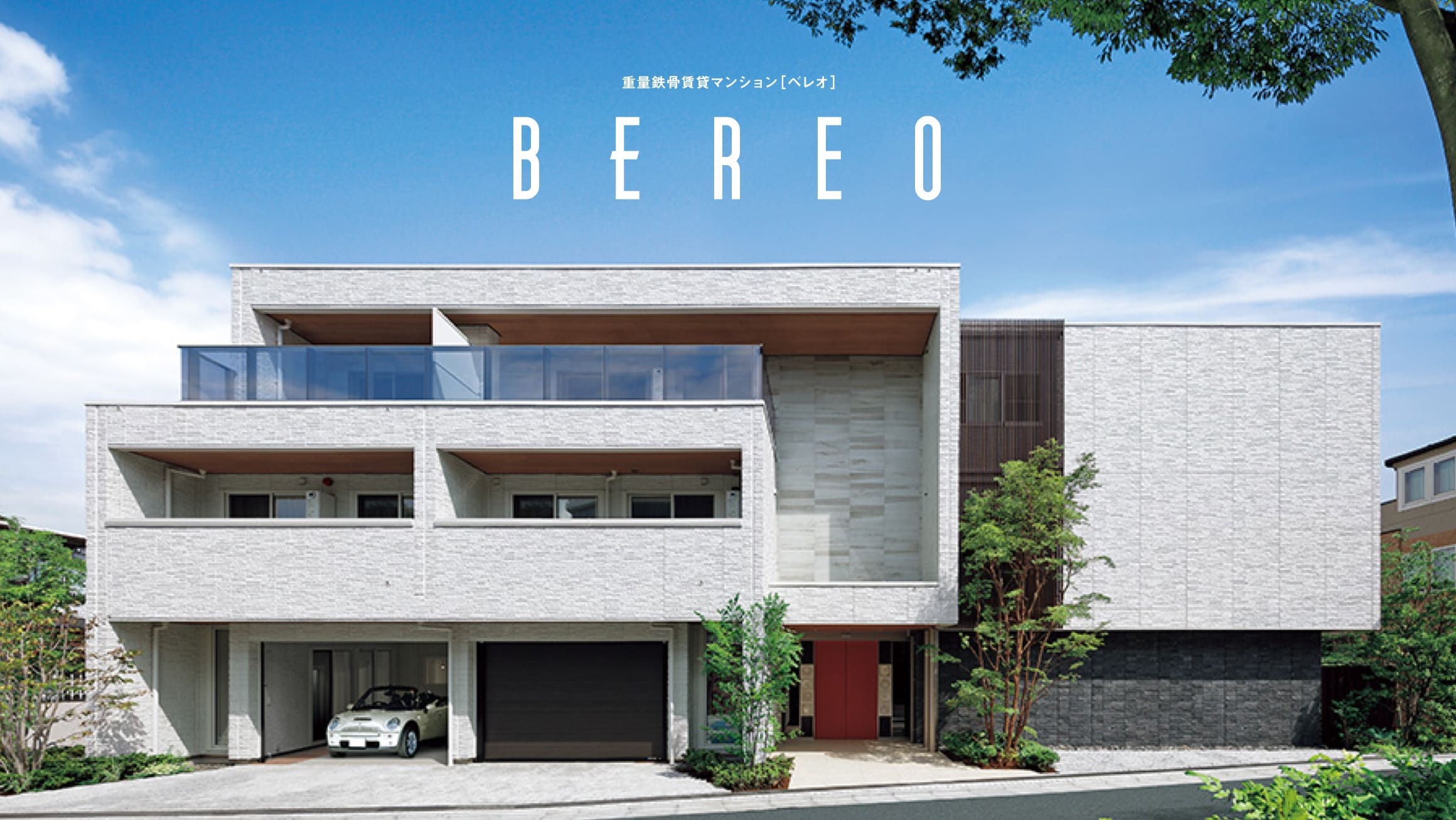 BEREO