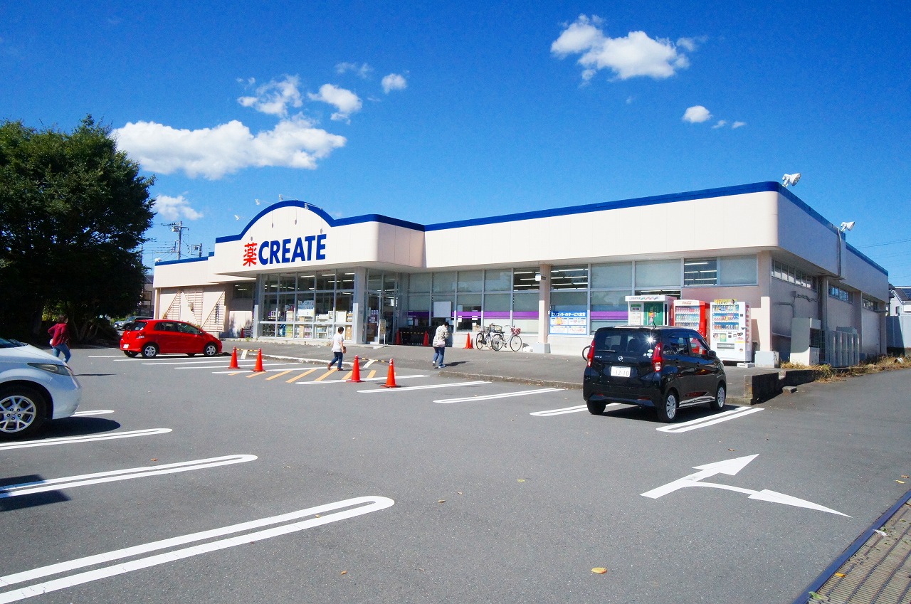 シティハイム　向原 ドラッグストア
