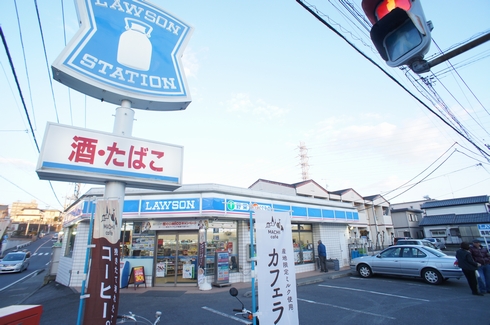エヴァーグリーン・ラピス コンビ二