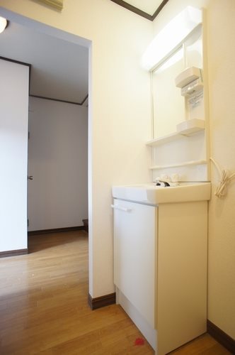 サンテラスなでしこ 洗面所
