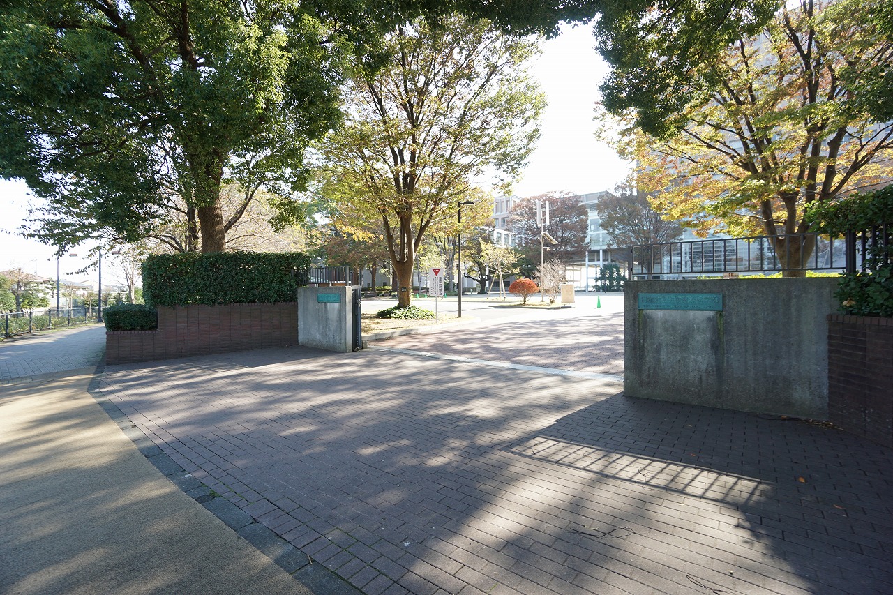 グリーンルーフ 大学・短大