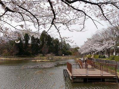 もえぎ野公園