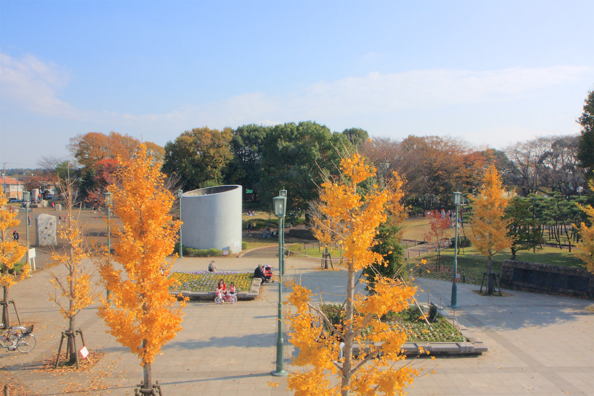 湘南台公園
