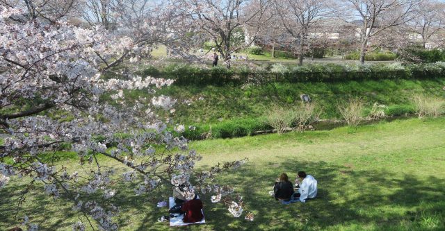 【おすすめスポット1】相模三川公園