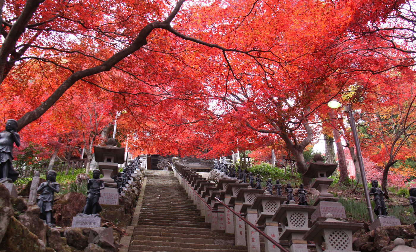 雨降山　大山寺
