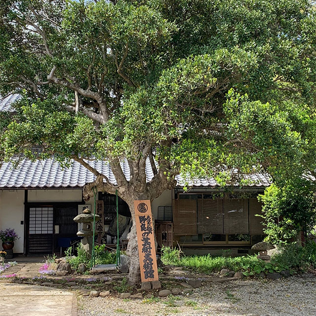 【おすすめ美術館・博物館3】あつぎ飯山野良の芸術美術館